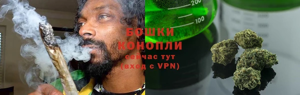 стаф Богородицк