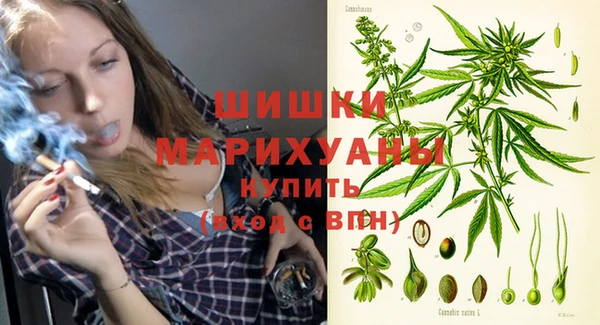 трава Болотное