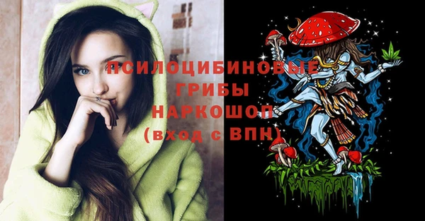 a pvp Болхов