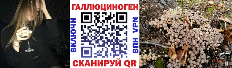 Псилоцибиновые грибы мухоморы  где продают   Дагестанские Огни 