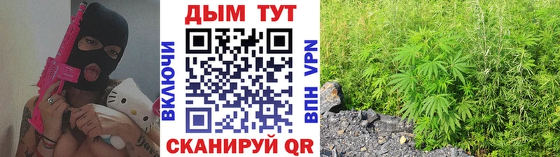 купить наркотик Дагестанские Огни Канабис гибрид